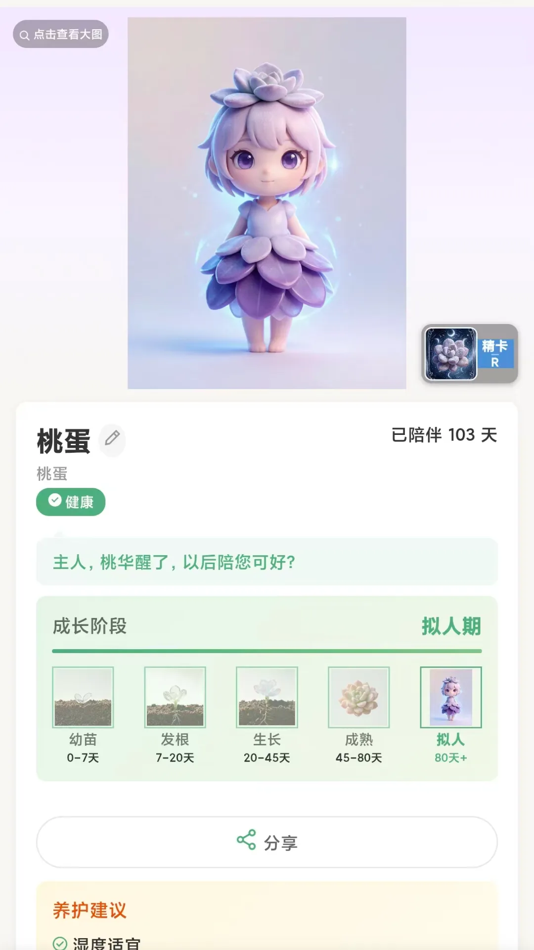 多肉的星球